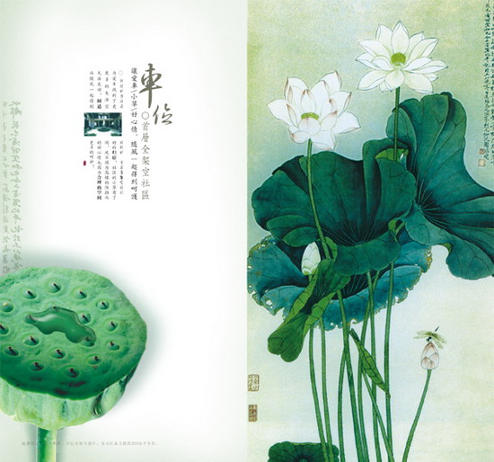 广州个性产品画册印刷
