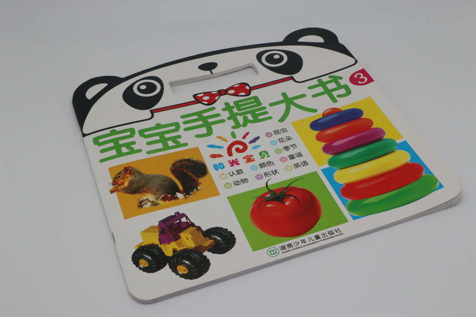 广州企业画册印刷定制 广州印刷画册设计蓝天