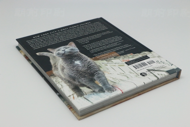 广州公司画册印刷电话 广州产品单页画册印刷