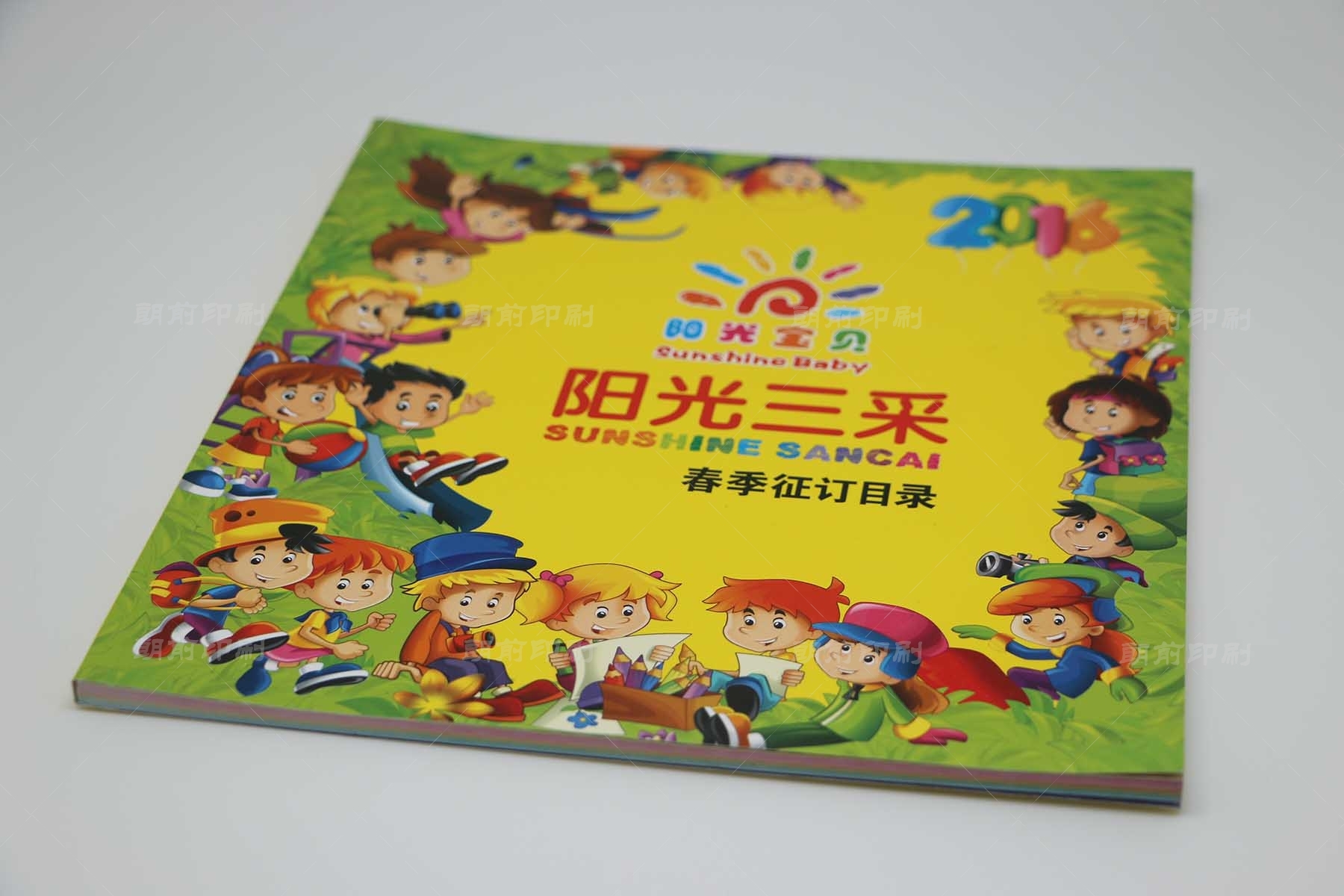 广州包装设计公司画册印刷