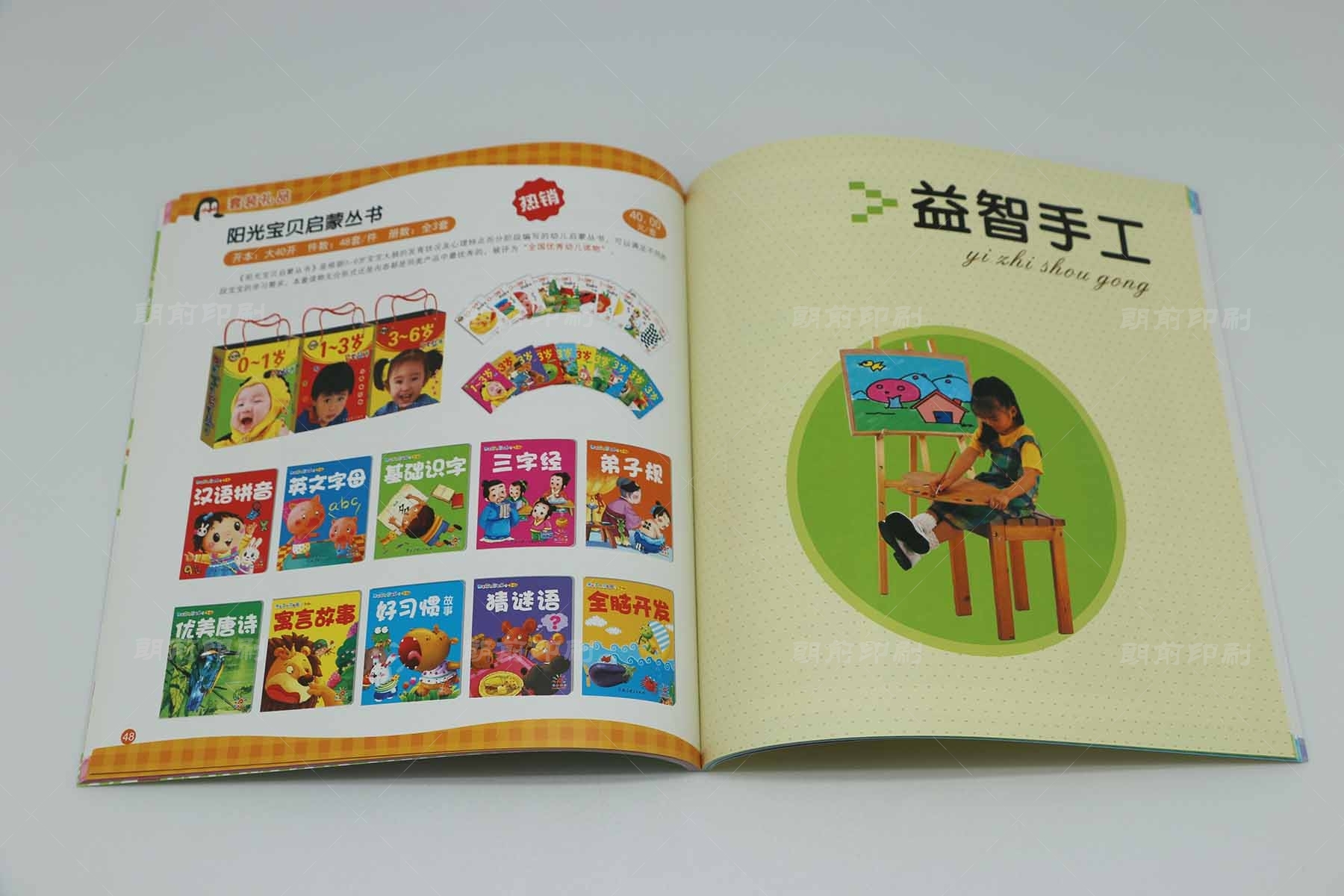 广州公司文化介绍画册印刷