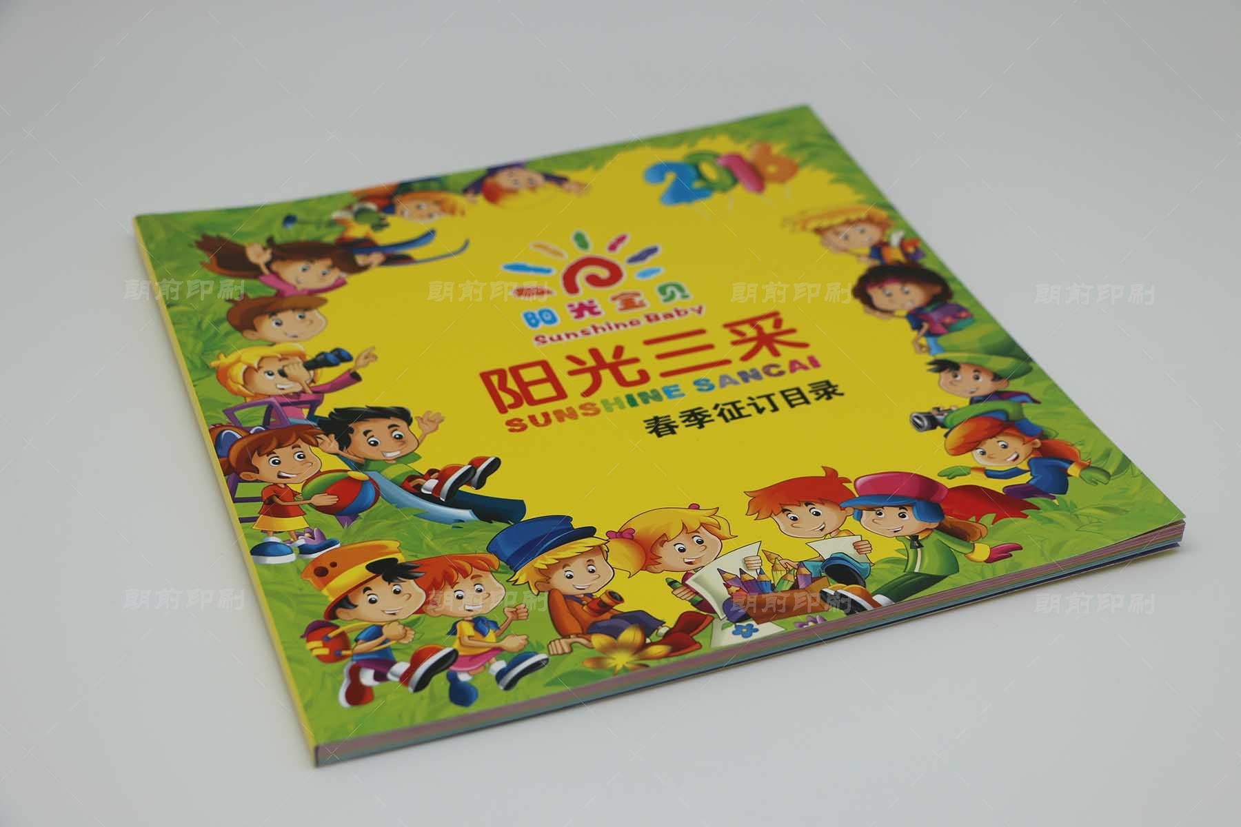 广州专业画册印刷多少钱 广州提供画册设计印刷