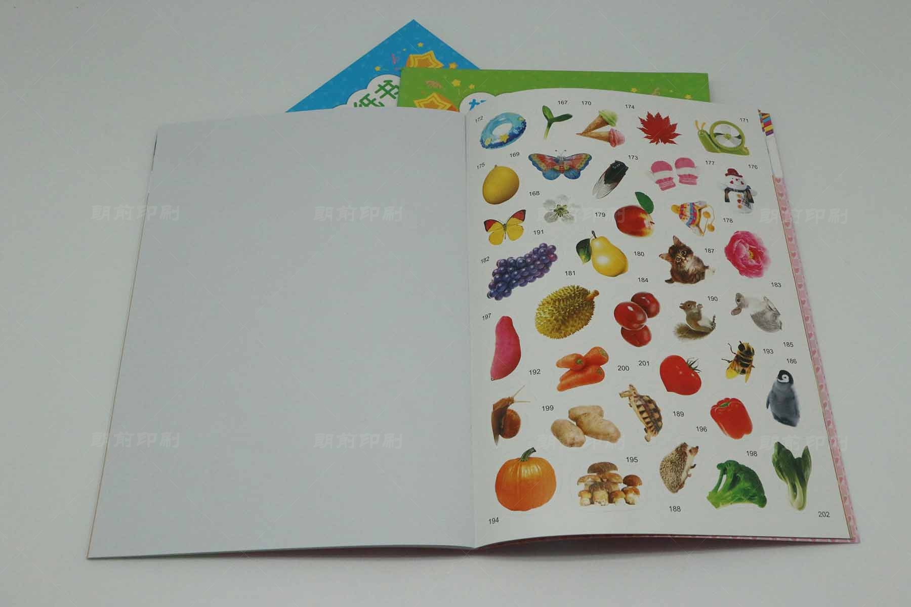 广州画册印刷