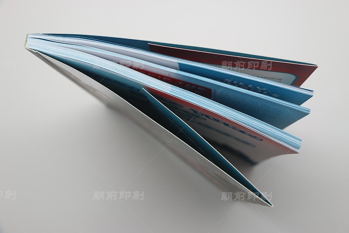 广州精品画册印刷厂家 广州有口碑的广告画册印刷公司