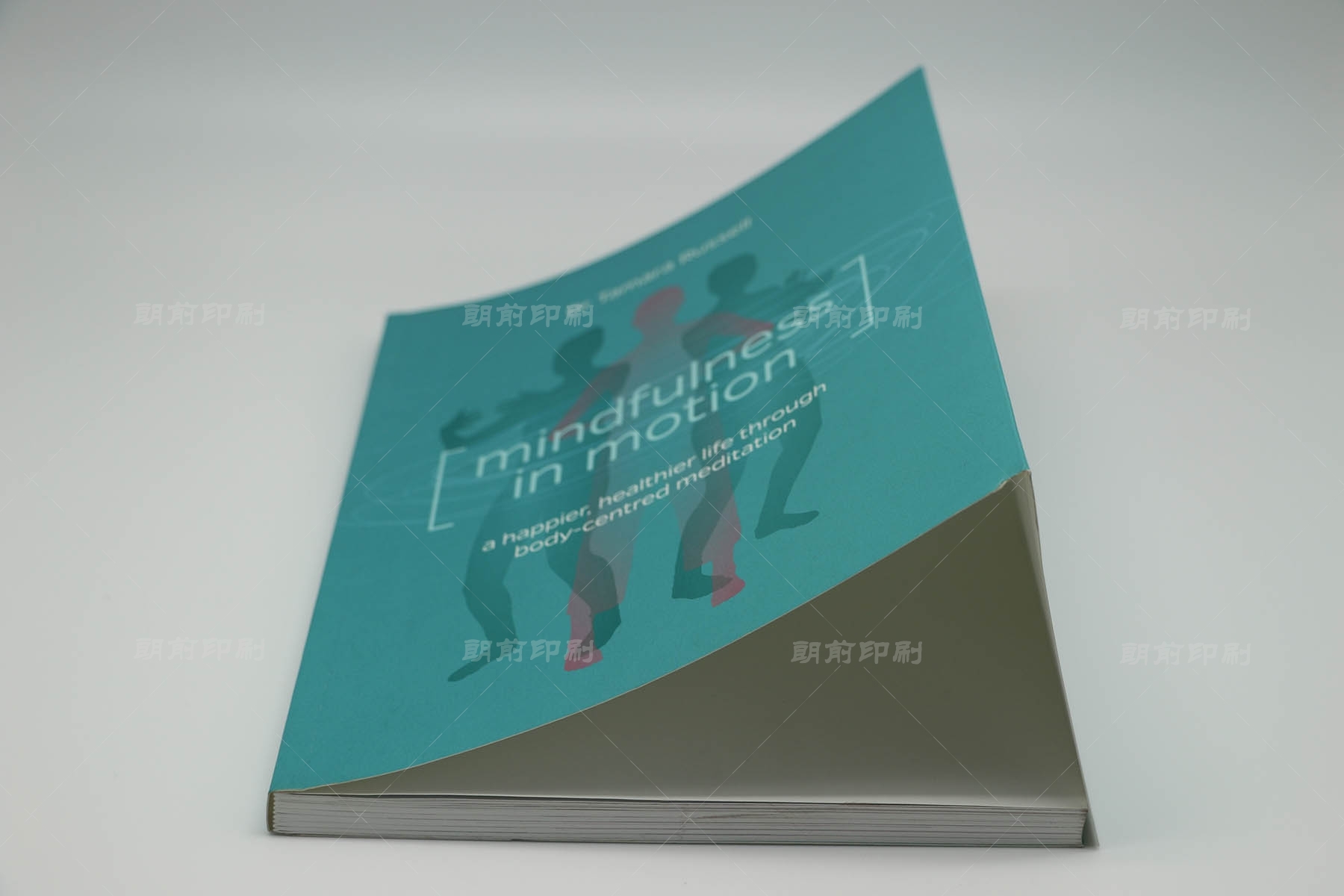 广州都有哪些企业画册印刷