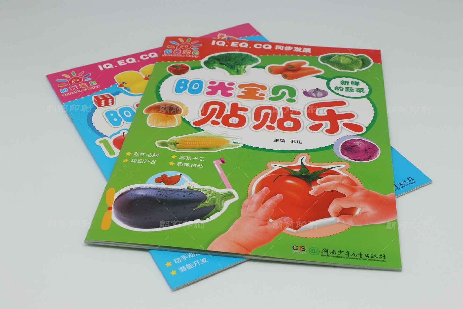 广州印刷画册一天能印多少 广州印刷画册生产厂家