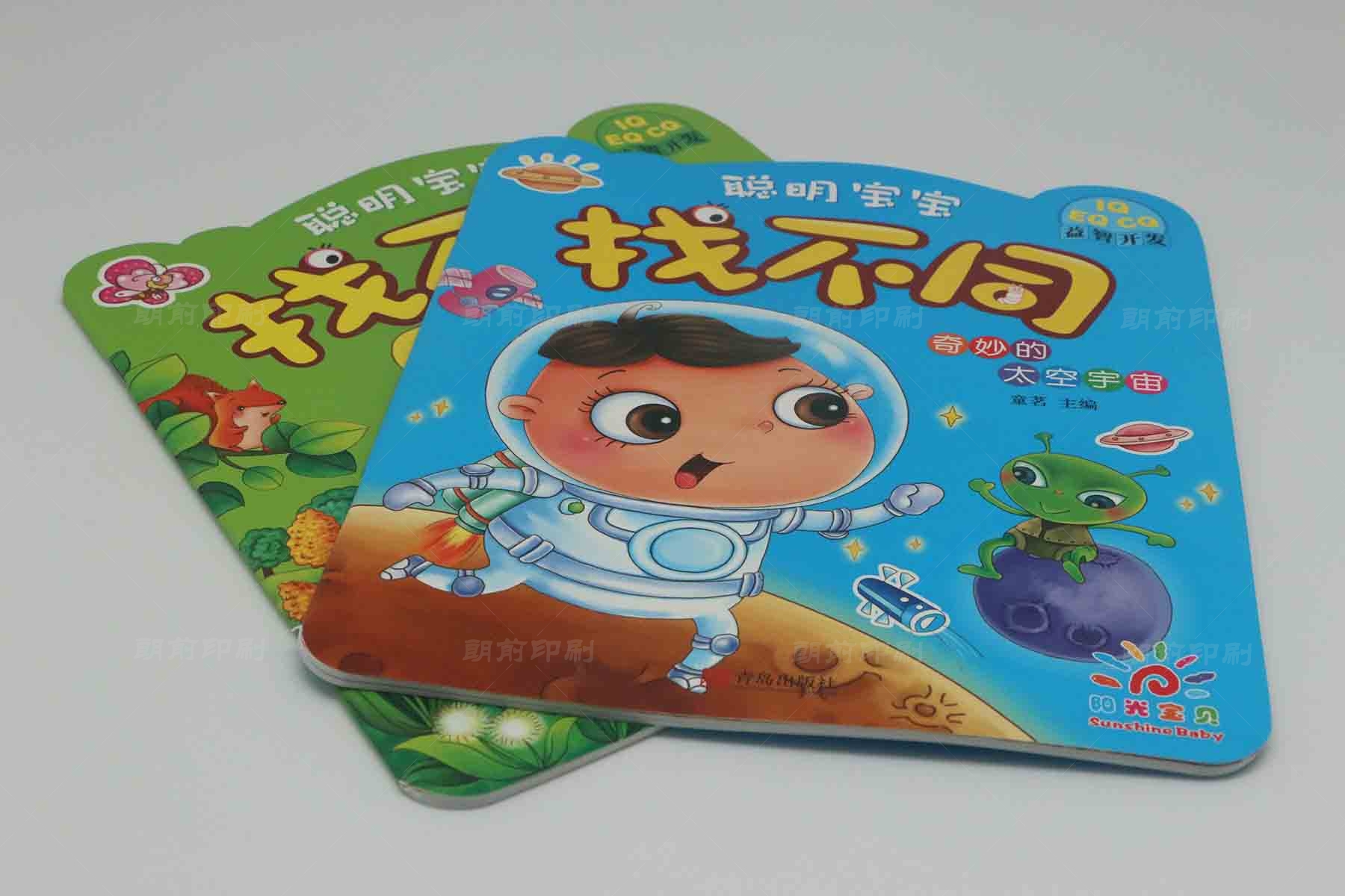 广州样本画册印刷价格 广州精品画册设计制作