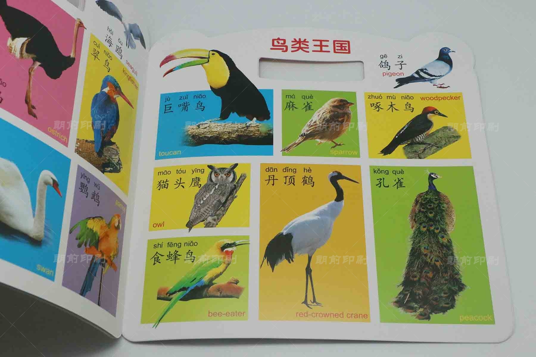 广州画册印刷报价 广州a4画册印刷尺寸是多少