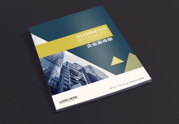 广州企业画册设计印刷制作 广州制作画册公司简介